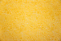 Robert Kaufman Fusions Bloom Quilting Fabric
